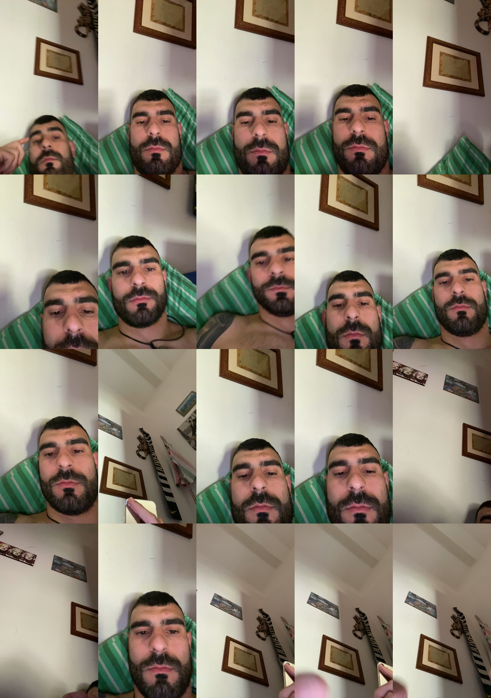 Jungle93  27-02-2022